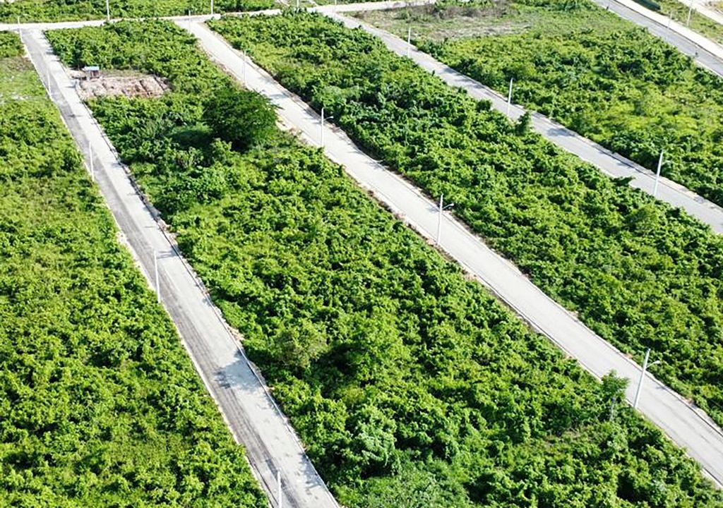 Solares en venta en la Avenida Ecológica (12)