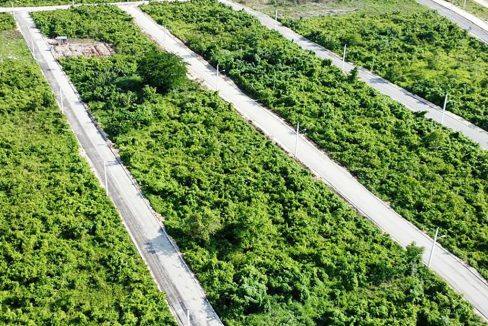 Solares en venta en la Avenida Ecológica (12)