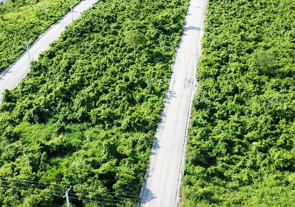 Solares en venta en la Avenida Ecológica (2)