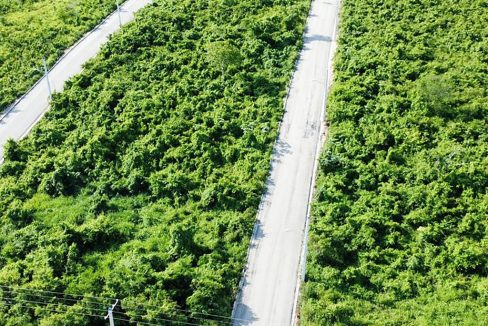 Solares en venta en la Avenida Ecológica (2)