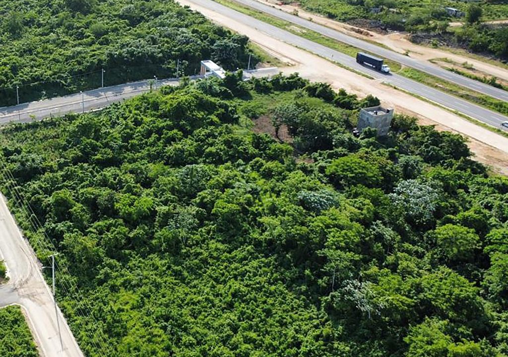 Solares en venta en la Avenida Ecológica (4)