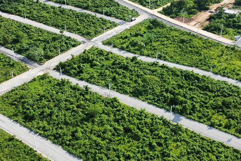 Solares en venta en la Avenida Ecológica (6)