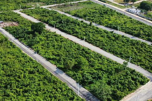 Solares en venta en la Avenida Ecológica (9)